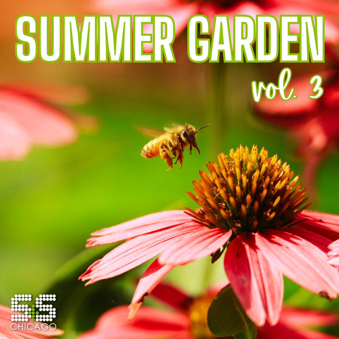 Various Artists